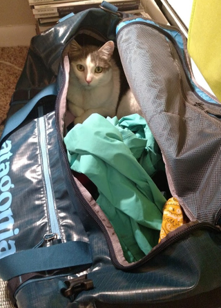Patagonia 90l Black Hole Duffel. Verdict: 7/10.